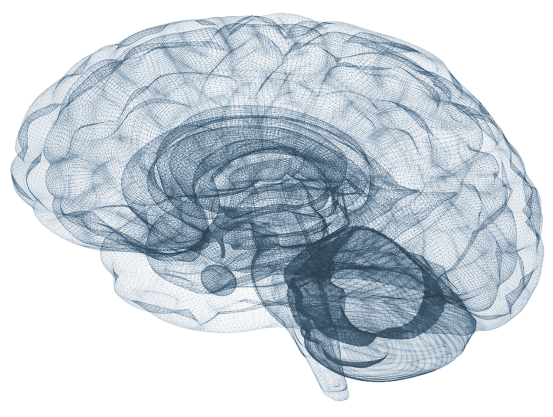 EdCortex cognitive intelligence platform